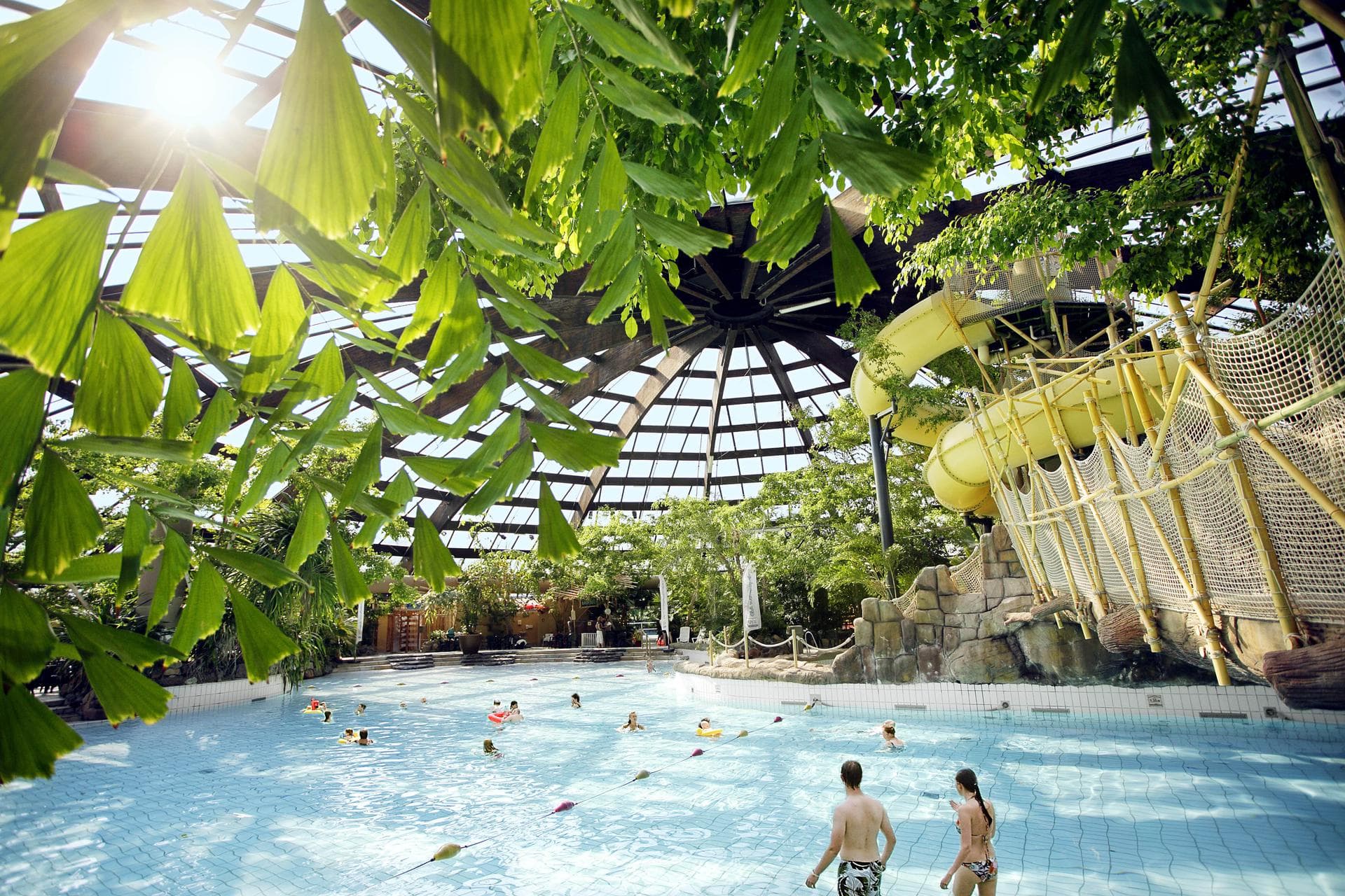 piscine agua mondo